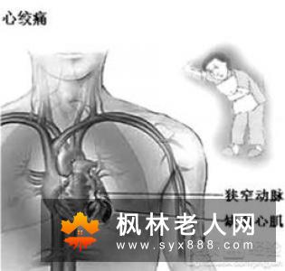 针灸的抗缺血缺氧抗自由基